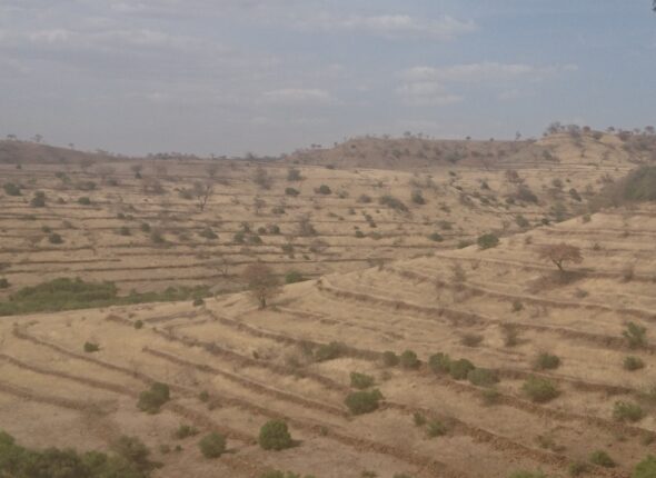 East Belesa