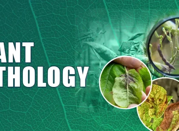 Plant-Pathology-(Banner)-