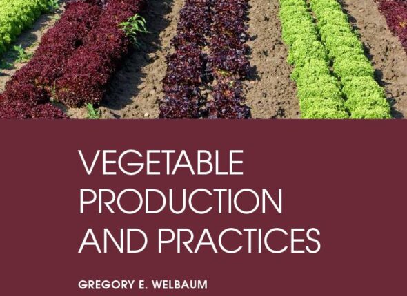 vegtable